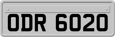 ODR6020