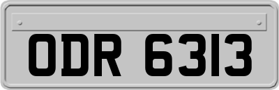 ODR6313