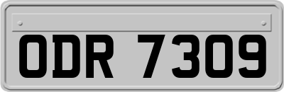 ODR7309