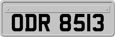 ODR8513
