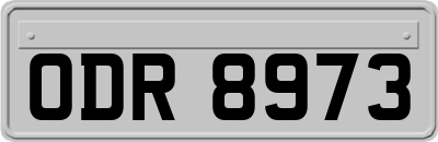 ODR8973