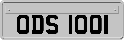 ODS1001