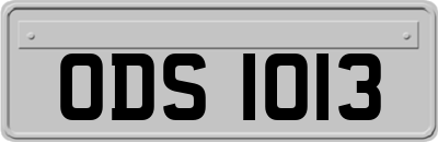 ODS1013
