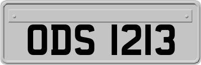 ODS1213