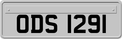 ODS1291