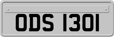 ODS1301