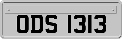 ODS1313