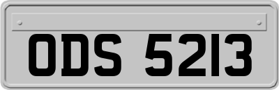ODS5213