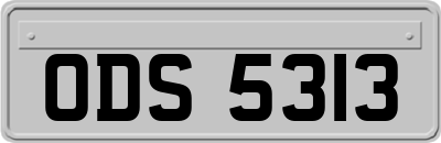 ODS5313