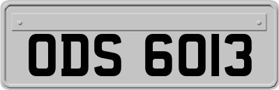 ODS6013