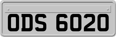 ODS6020