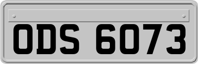 ODS6073