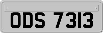 ODS7313