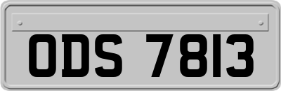ODS7813