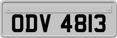 ODV4813