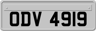 ODV4919