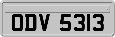 ODV5313