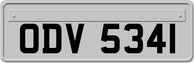 ODV5341