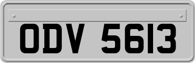ODV5613