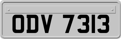 ODV7313