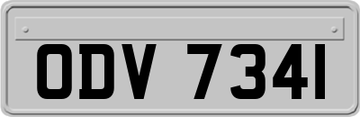ODV7341