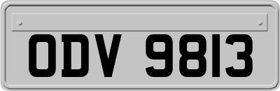 ODV9813