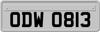 ODW0813