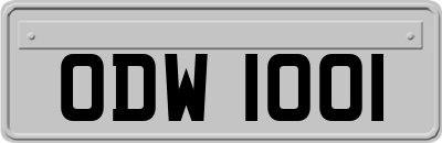 ODW1001