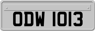 ODW1013