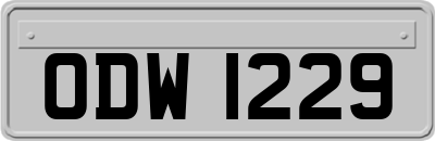 ODW1229