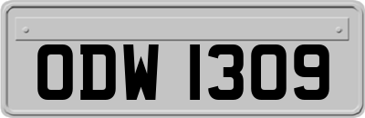 ODW1309