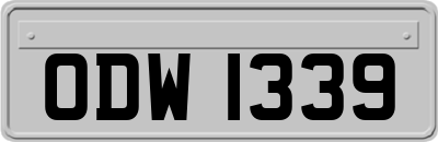 ODW1339