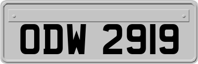 ODW2919