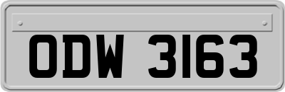 ODW3163