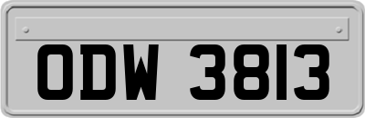 ODW3813