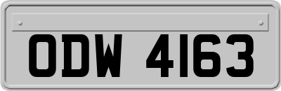 ODW4163
