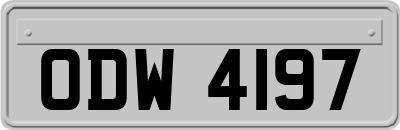 ODW4197
