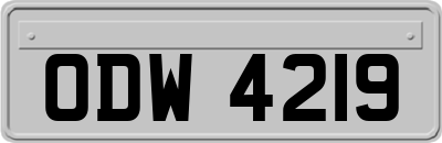ODW4219
