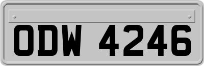 ODW4246