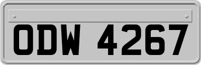 ODW4267