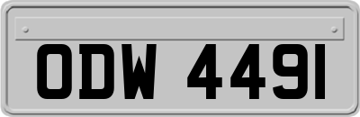 ODW4491