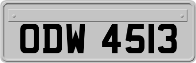 ODW4513