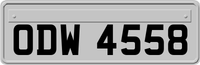 ODW4558