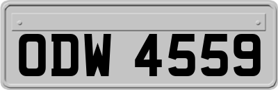 ODW4559