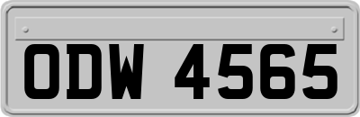 ODW4565