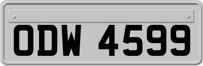 ODW4599