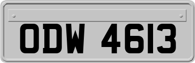 ODW4613