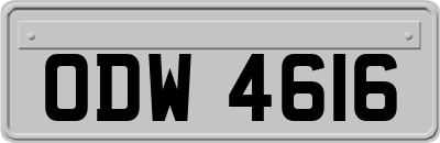 ODW4616