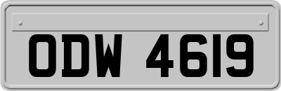 ODW4619