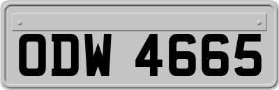 ODW4665